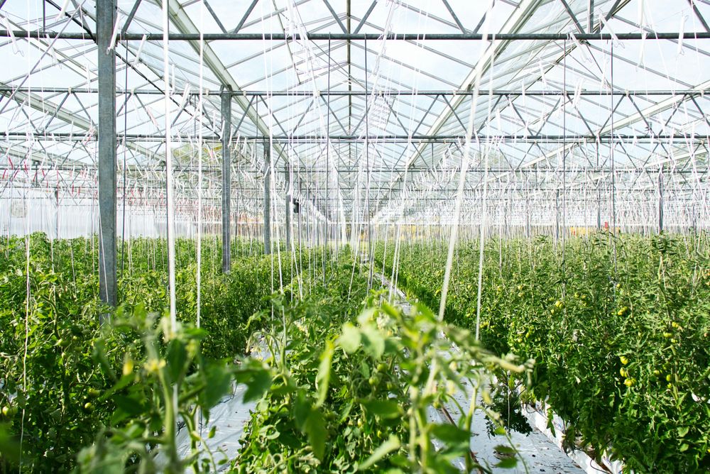  Agriculture Training Program