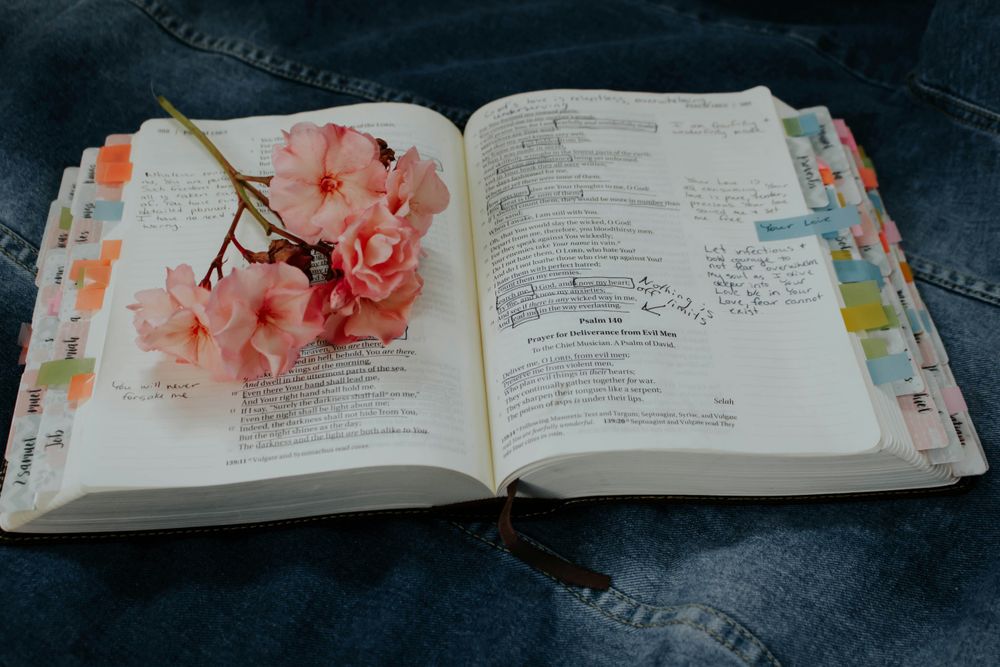 Japanese Language Proficiency Course (JLPT N5 & N4)